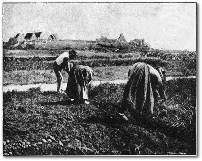 Me the wife and mother in law in field.
